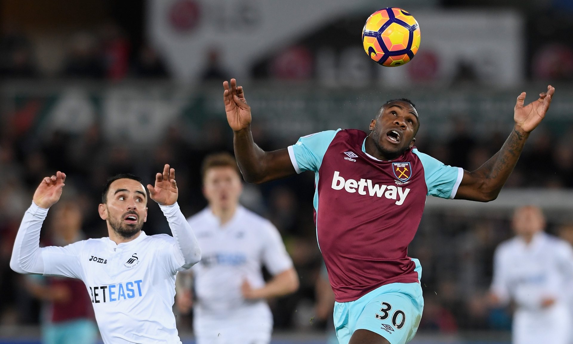 怀特的未来 怀特的未来